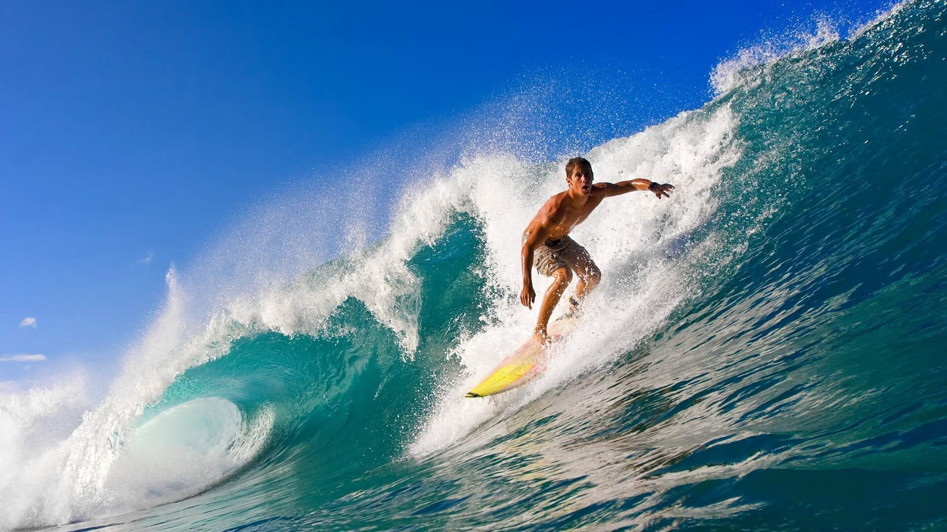 从NBA总决赛到非洲之巅,尼斯制霸塞内加尔背后的竞技哲学
