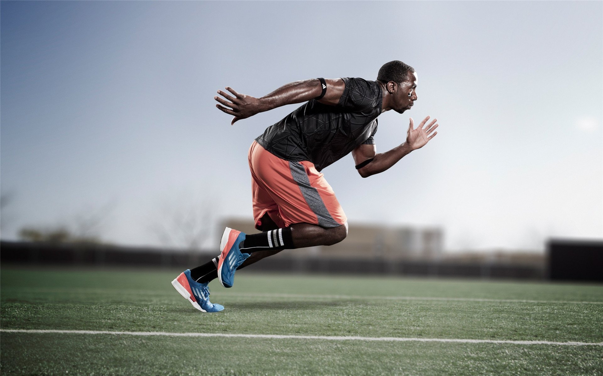 加克波爆发点燃荷兰希望,威尔士强势晋级映衬日本足球的亚洲之光