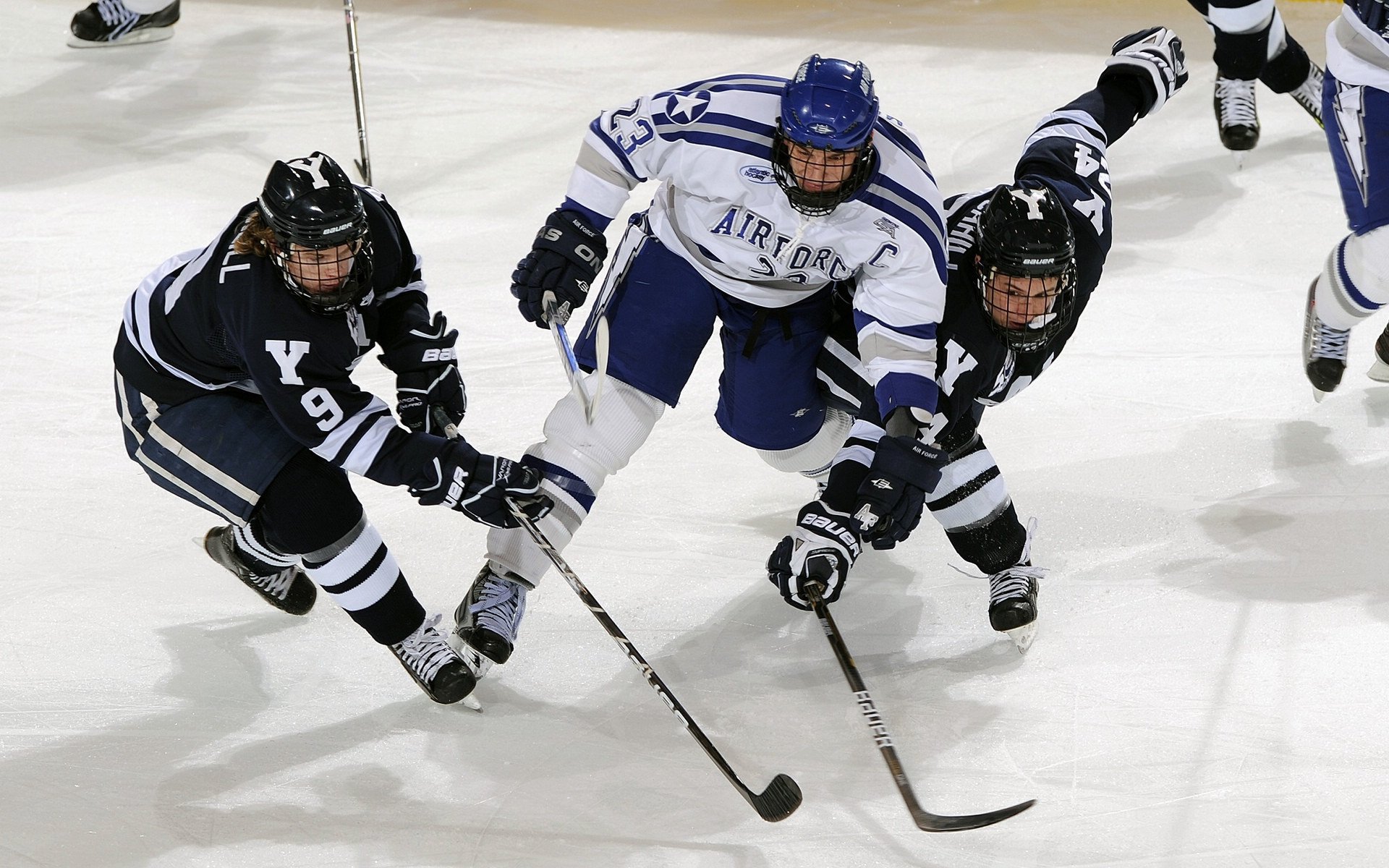 绿茵场与篮球馆,德甲争冠的战术博弈与掘金队的完胜启示